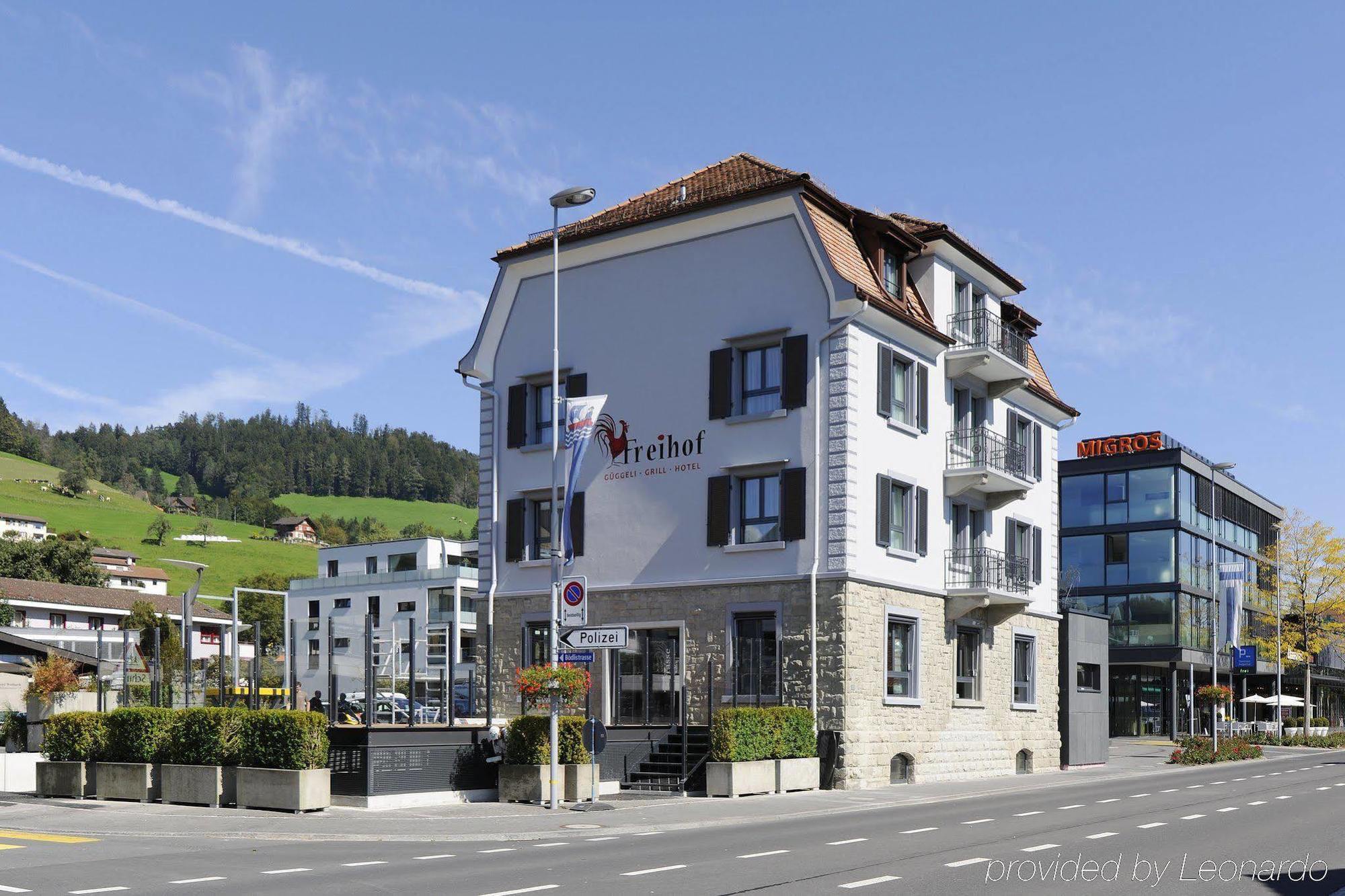 Hotel Freihof Swiss Lodge Unterageri Exterior photo